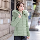 Removable Cap Down Cotton Small Padded Jacket