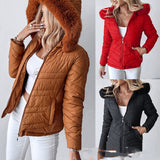 Cinched Hoodie With Fur Collar Short Jacket