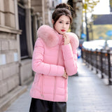 Removable Cap Down Cotton Small Padded Jacket