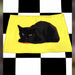 Yellow Black Cat
