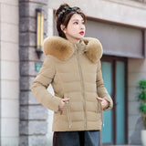 Removable Cap Down Cotton Small Padded Jacket